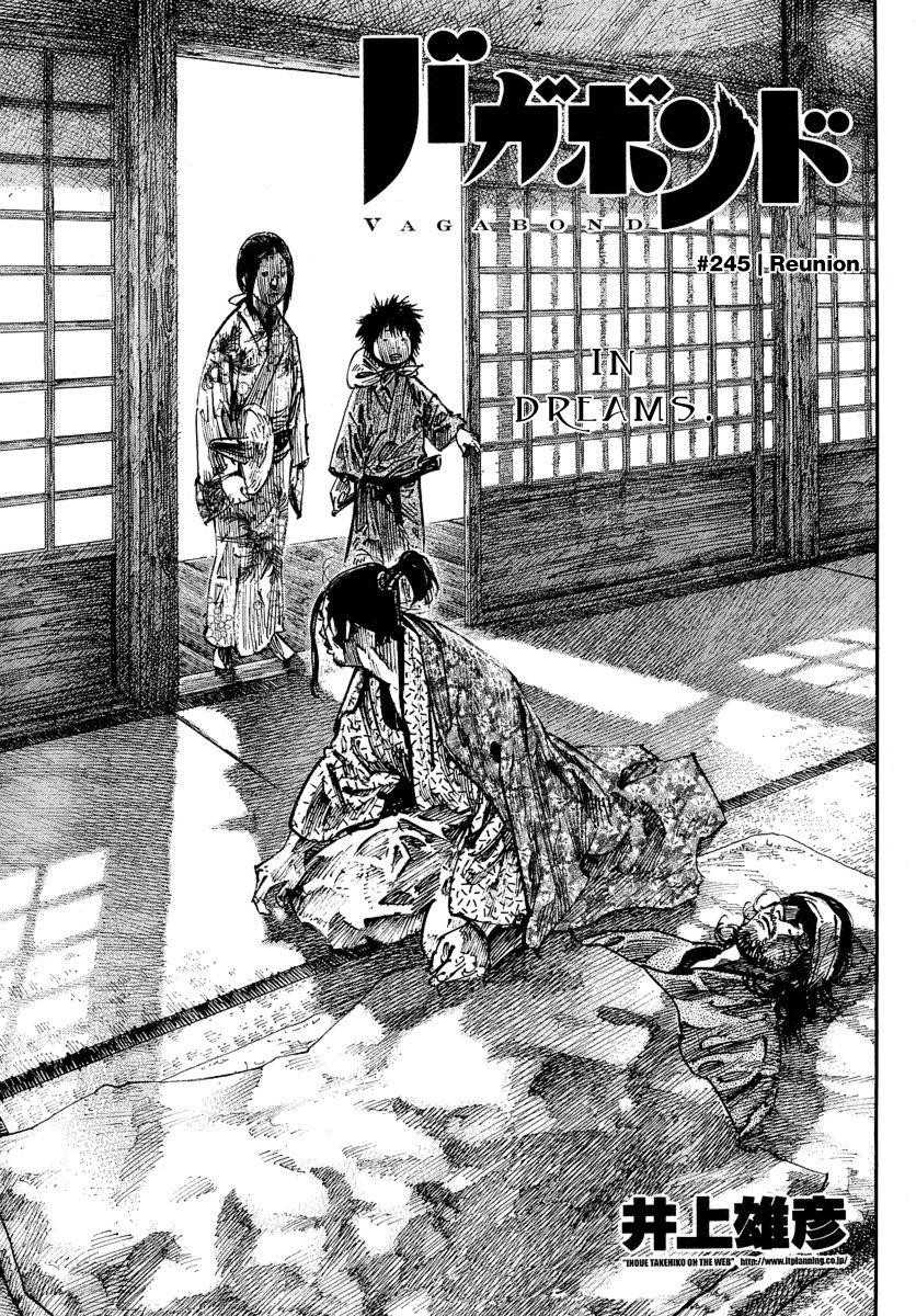 Vagabond Chapter 245 - Page 1