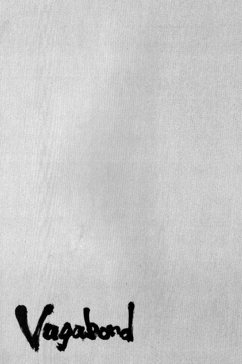 Vagabond Chapter 62 - Page 19