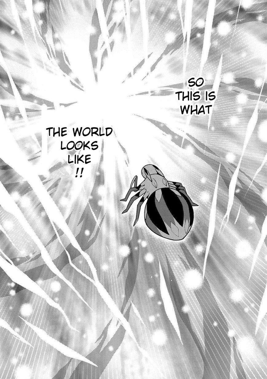 Kumo Desu Ga, Nani Ka? Chapter 19.2 - Page 3