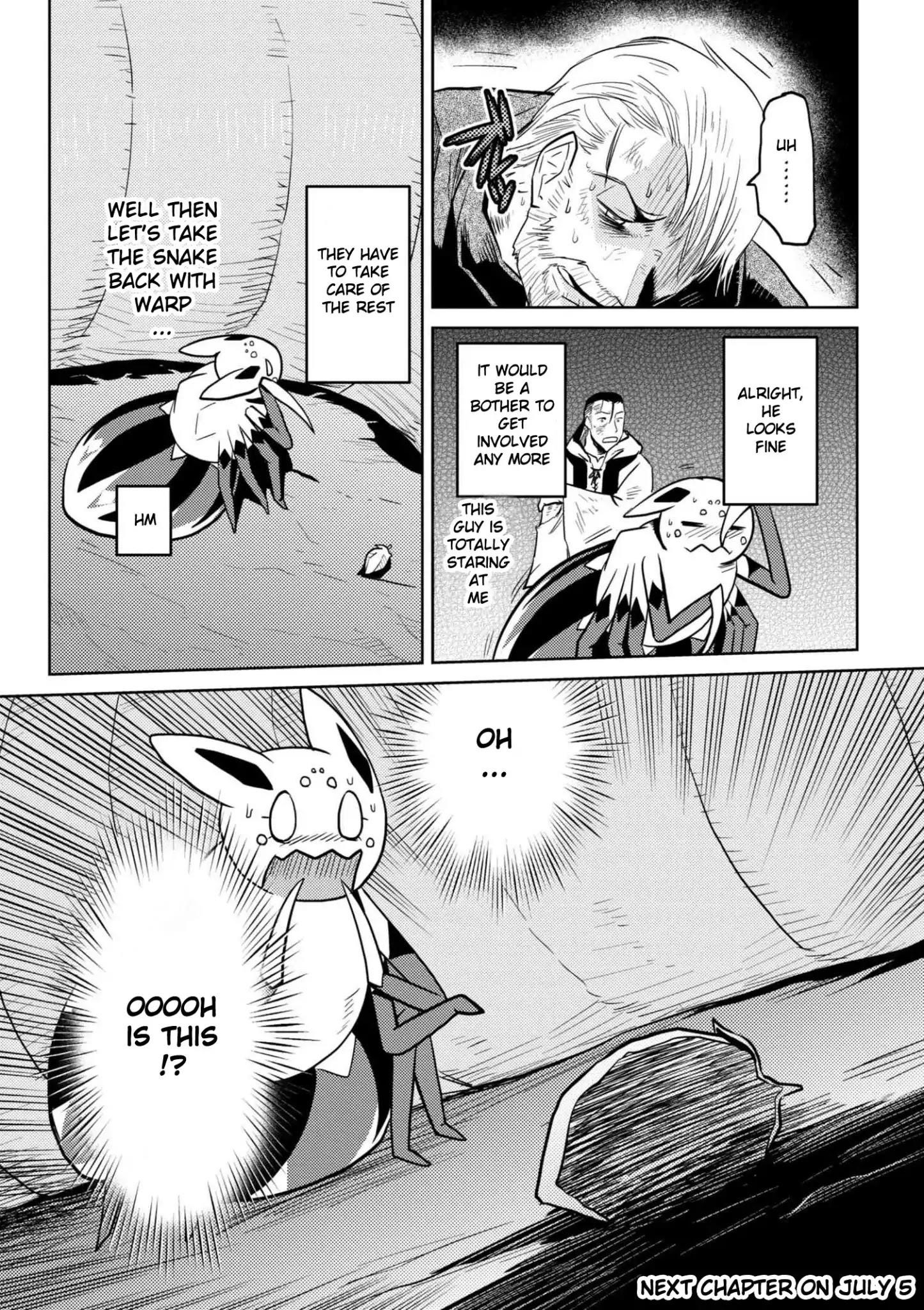 Kumo Desu Ga, Nani Ka? Chapter 28.2 - Page 17