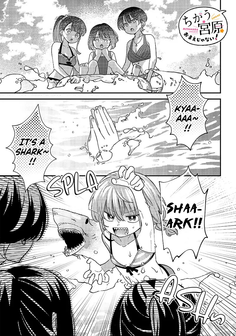 No, Miyahara, Not You! Chapter 33 - Page 1